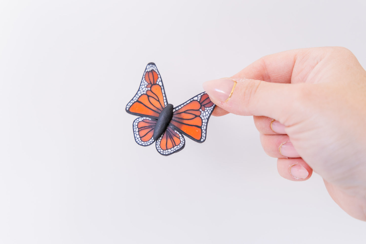 Butterfly Magnets
