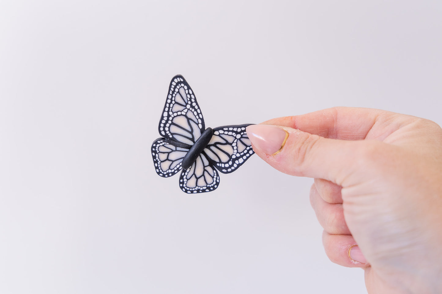 Butterfly Magnets