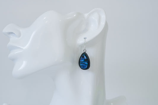 Paua Droplet Earrings