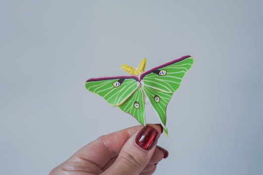 Luna Moth Magnets