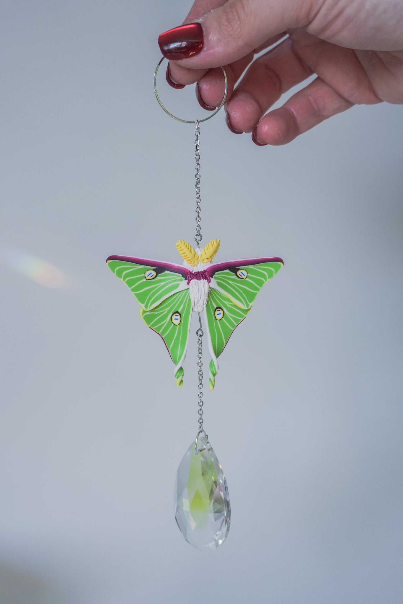 Luna Moth Sun catchers