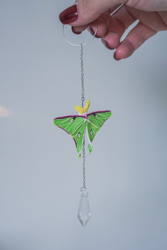 Luna Moth Sun catchers