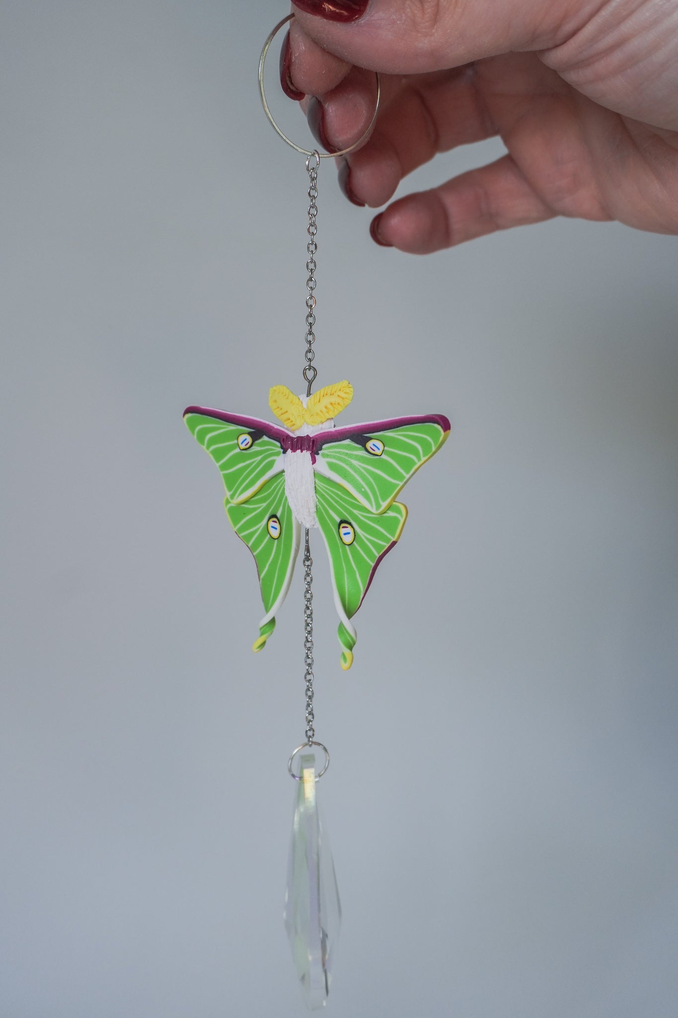 Luna Moth Sun catchers