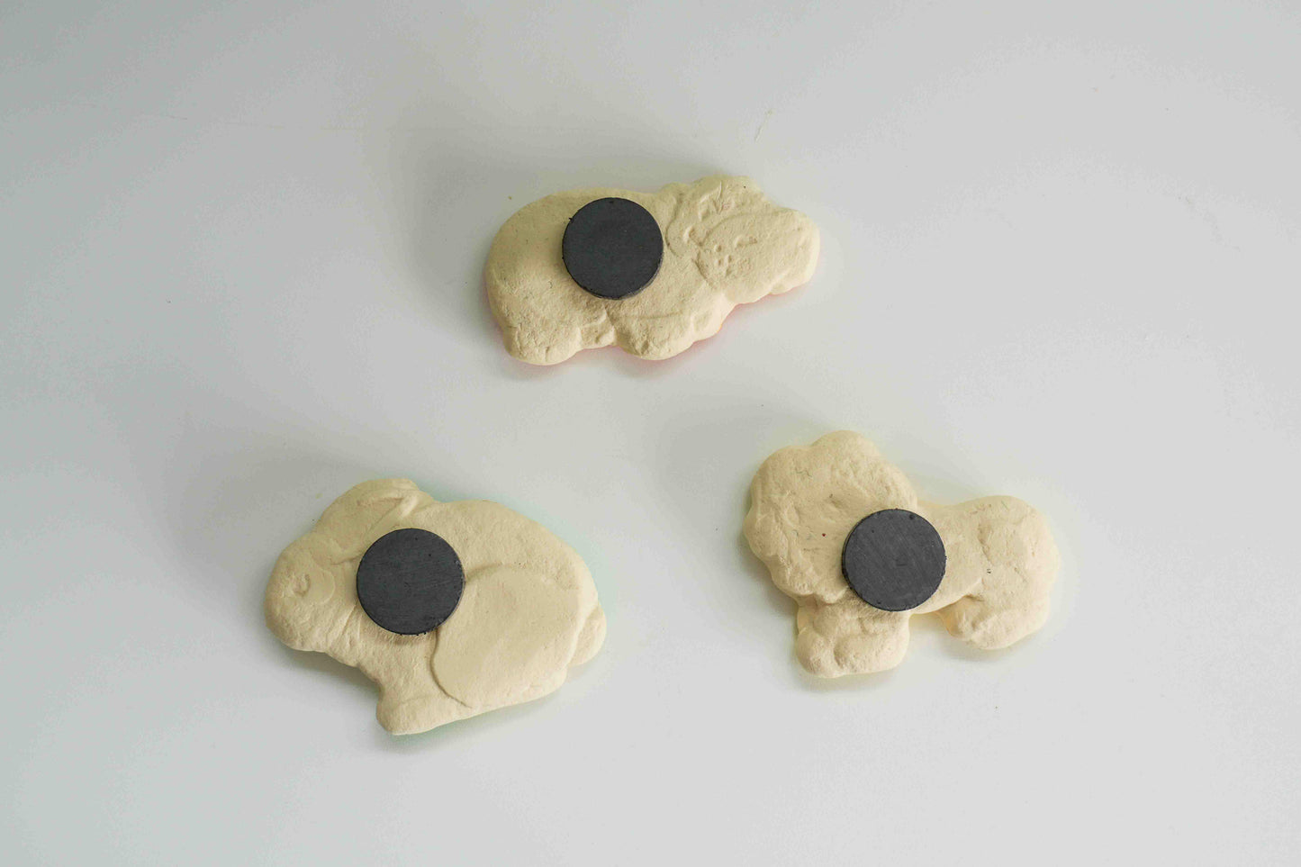 Iced Animal Biscuit