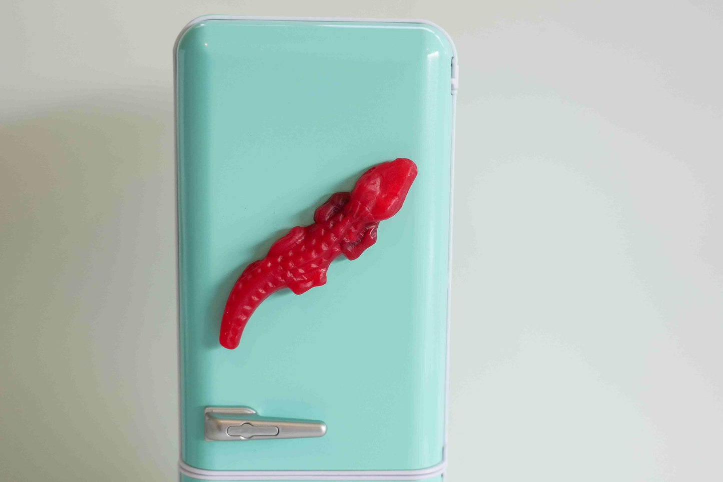 Crocodile Lolly Magnets