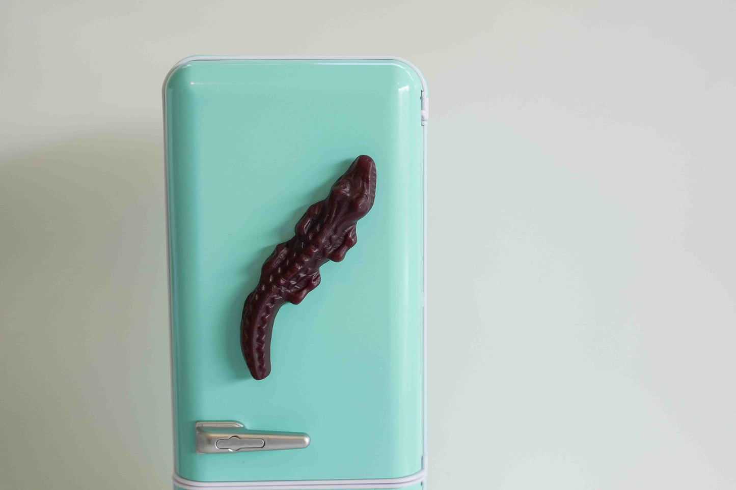 Crocodile Lolly Magnets