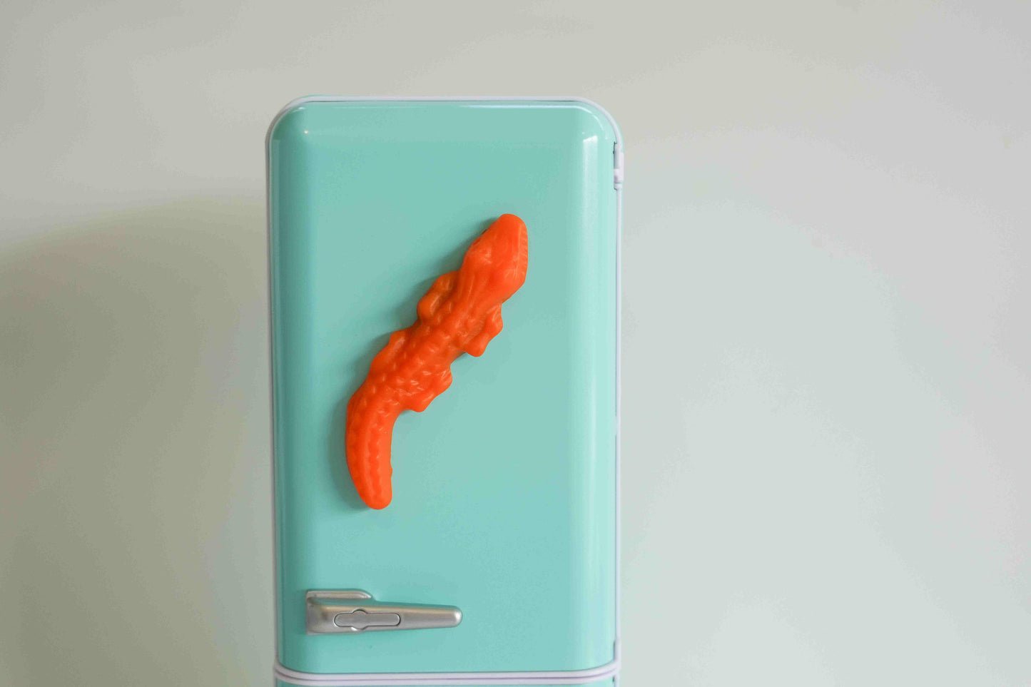 Crocodile Lolly Magnets