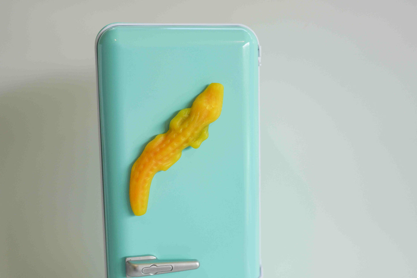 Crocodile Lolly Magnets