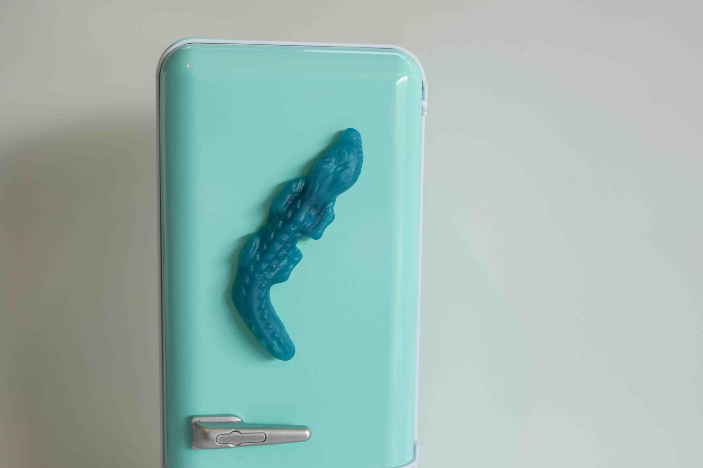 Crocodile Lolly Magnets