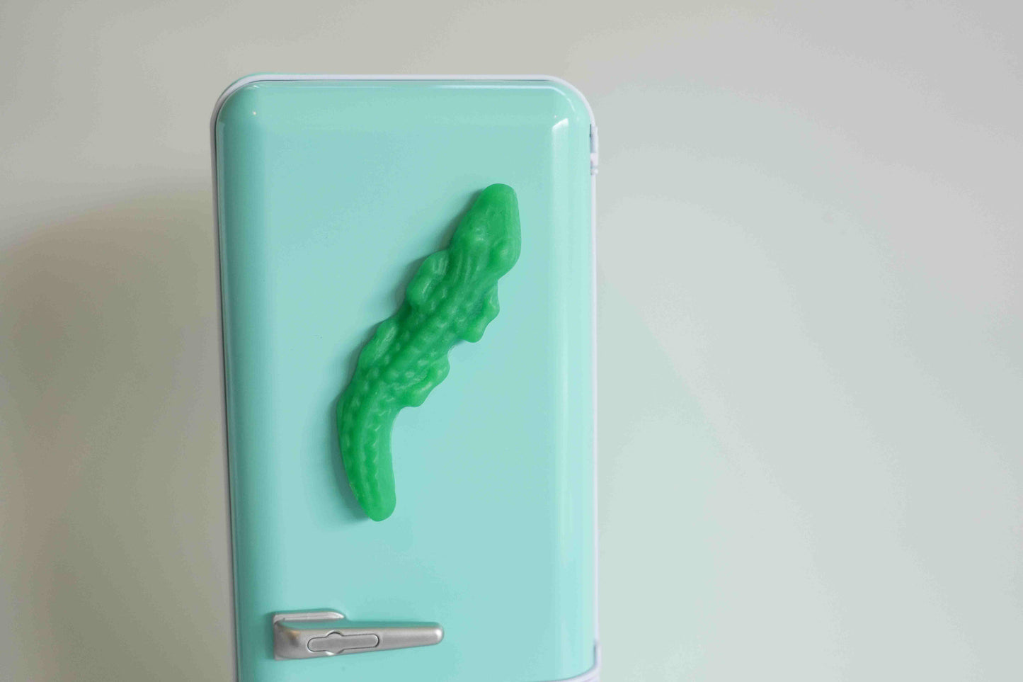 Crocodile Lolly Magnets