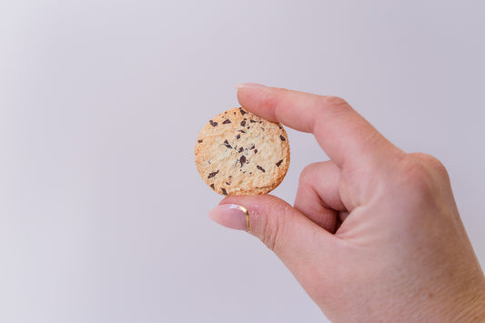 Chocy Chip Cookie Magnet