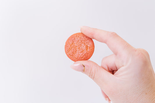 Ginger Nut Biscuit Magnet