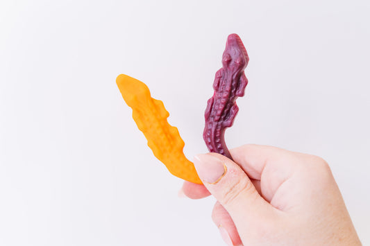 Crocodile Lolly Magnets