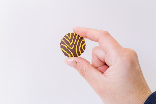 Squiggles Biscuit Magnet