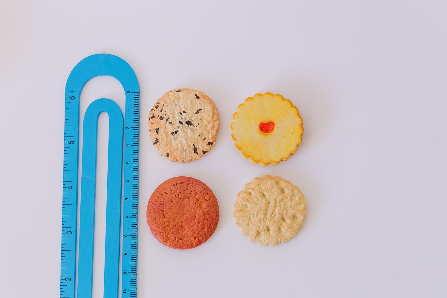 Biscuit Magnet Pack