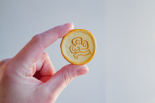 Girl Guide Biscuit Magnets